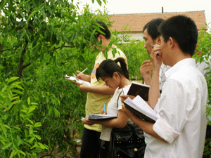 按此在新窗口瀏覽圖片