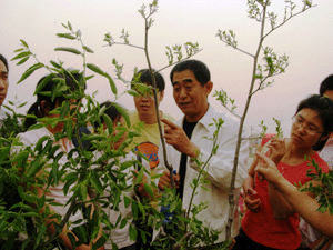 按此在新窗口瀏覽圖片