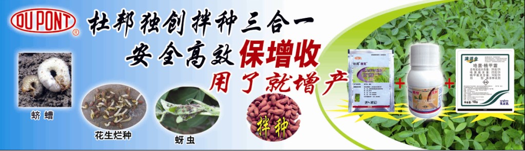 按此在新窗口瀏覽圖片