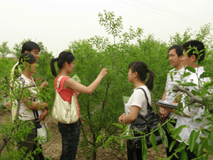 按此在新窗口瀏覽圖片