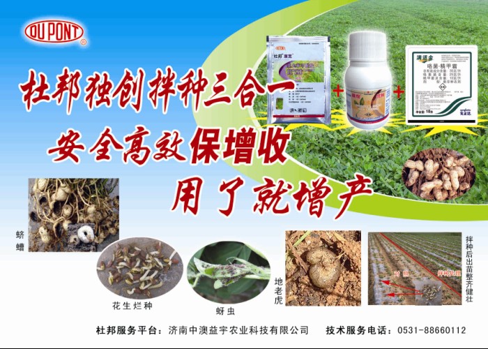 按此在新窗口瀏覽圖片