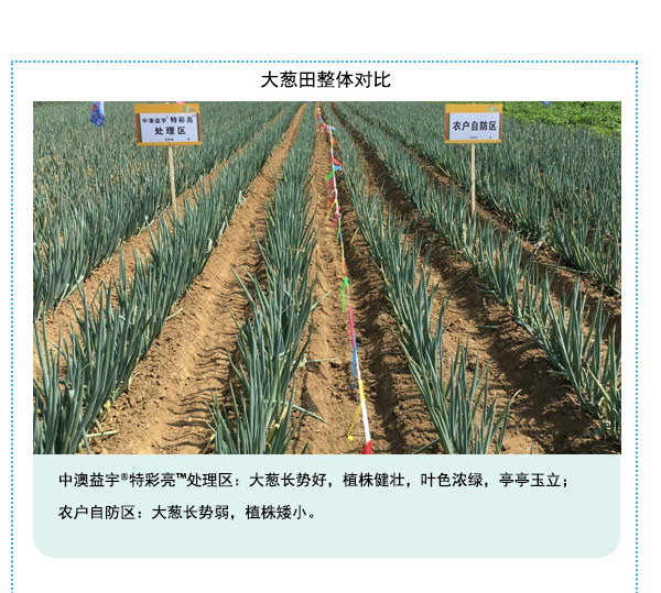 按此在新窗口瀏覽圖片