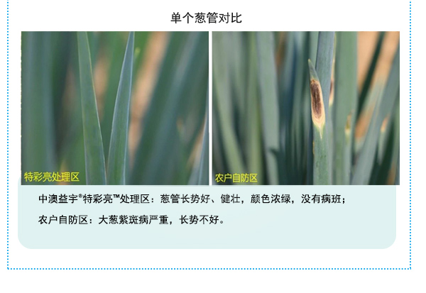 按此在新窗口瀏覽圖片