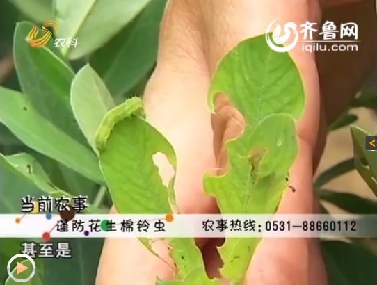 按此在新窗口瀏覽圖片