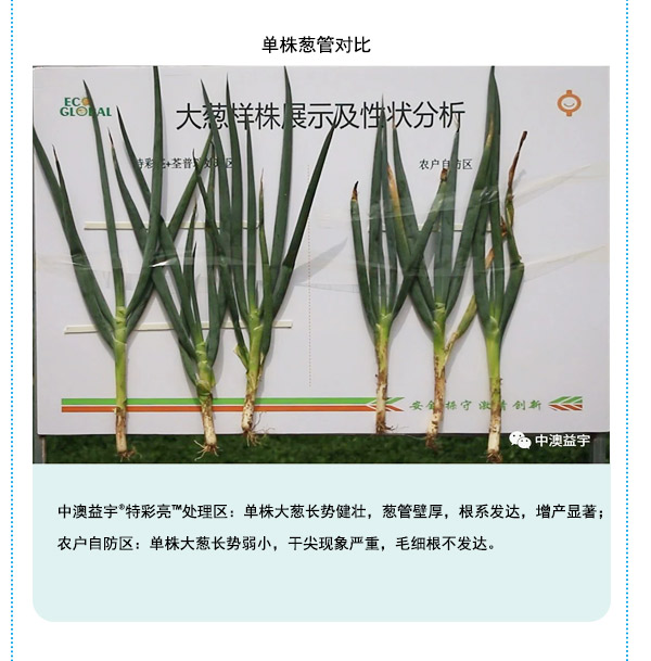 按此在新窗口瀏覽圖片