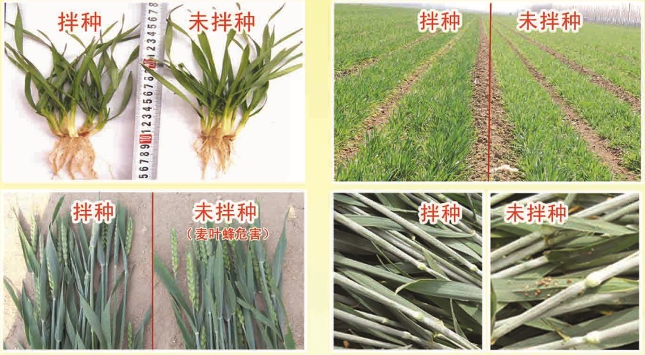 按此在新窗口瀏覽圖片