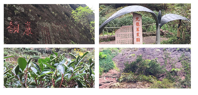 按此在新窗口瀏覽圖片