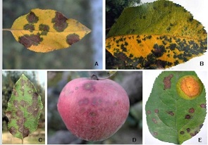 按此在新窗口瀏覽圖片