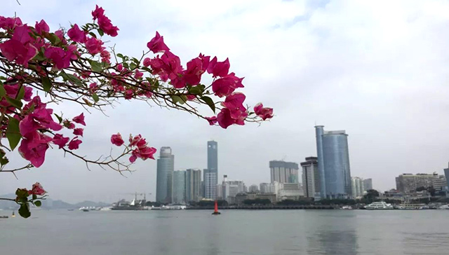 按此在新窗口瀏覽圖片