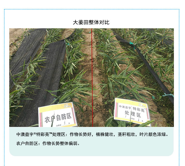 按此在新窗口瀏覽圖片