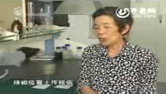 辣椒疫霉根腐病