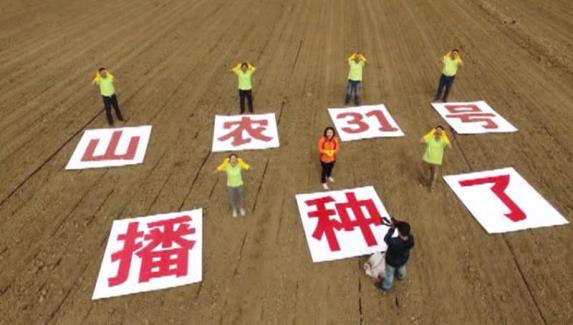 金秋播種到位 來年收糧滿倉(cāng)