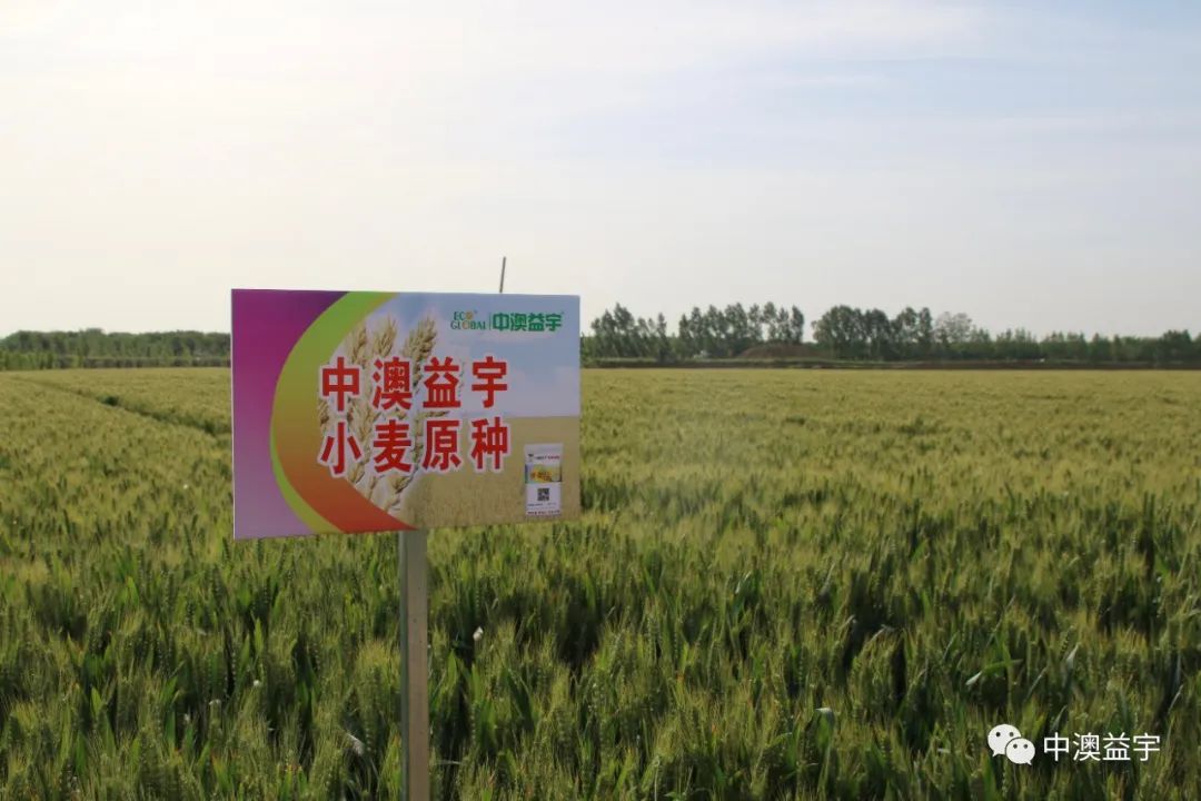 微信圖片_20210527115047.jpg 微信圖片_20210527115047.jpg