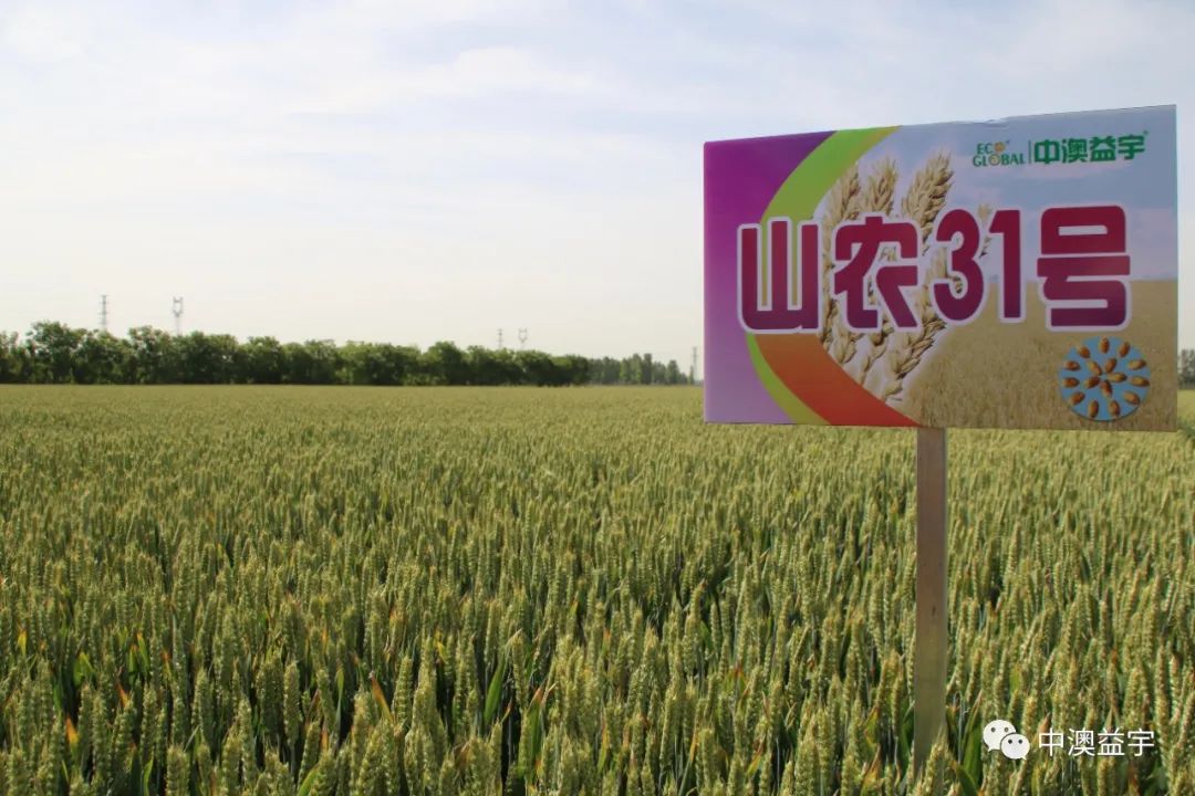 微信圖片_20210527115010.jpg 微信圖片_20210527115010.jpg