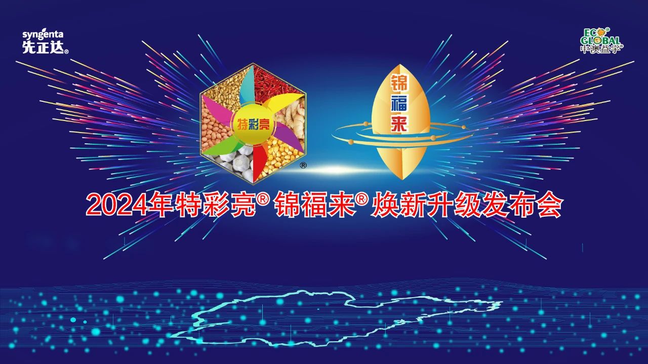 特彩亮升級(jí)靚山東，錦福來(lái)煥新耀齊魯