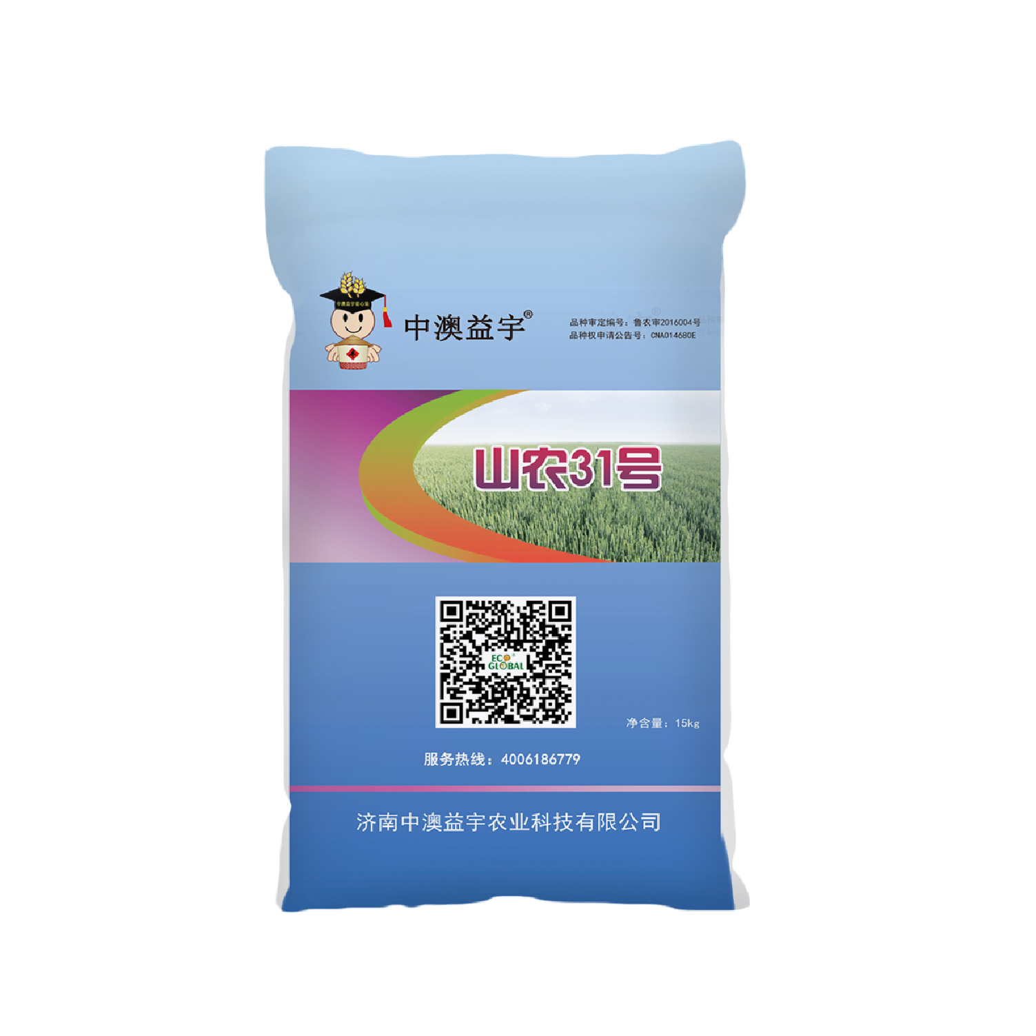 山農(nóng)31號(hào)_畫(huà)板 1.jpg