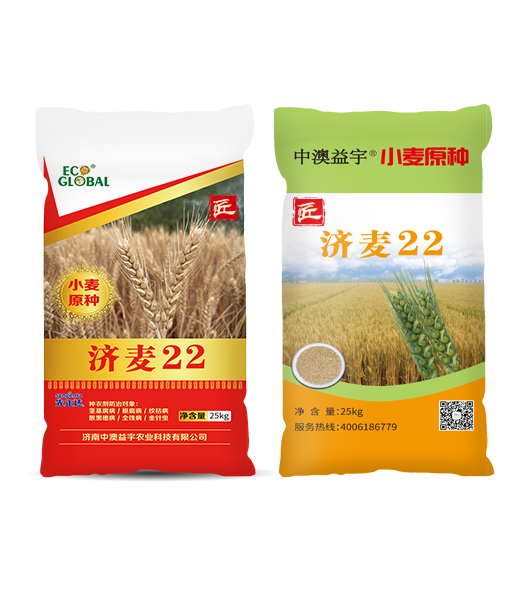 中澳益宇小麥原種 | 種原種 產(chǎn)良種 年年豐收